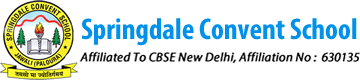 Springdale Convent School